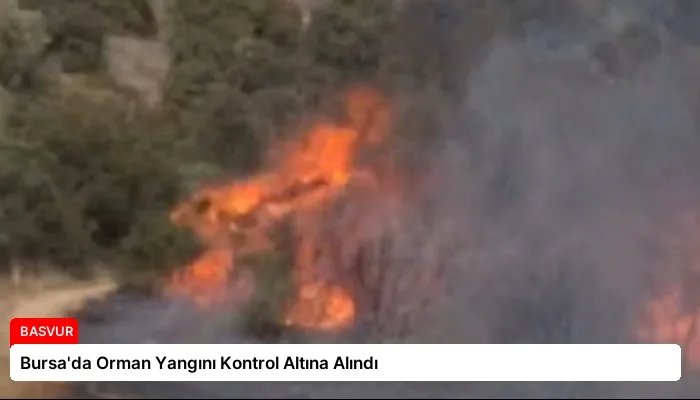 Bursa’da Orman Yangını Kontrol Altına Alındı