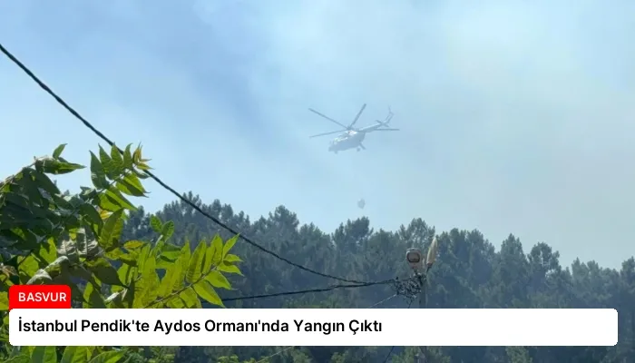 İstanbul Pendik’te Aydos Ormanı’nda Yangın Çıktı