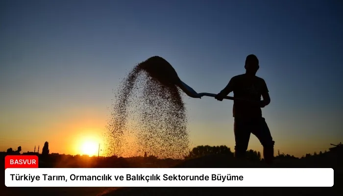 Türkiye Tarım, Ormancılık ve Balıkçılık Sektorunde Büyüme
