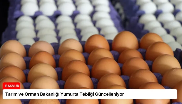 Tarım ve Orman Bakanlığı Yumurta Tebliği Güncelleniyor