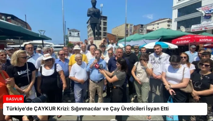 Türkiye’de ÇAYKUR Krizi: Sığınmacılar ve Çay Üreticileri İsyan Etti