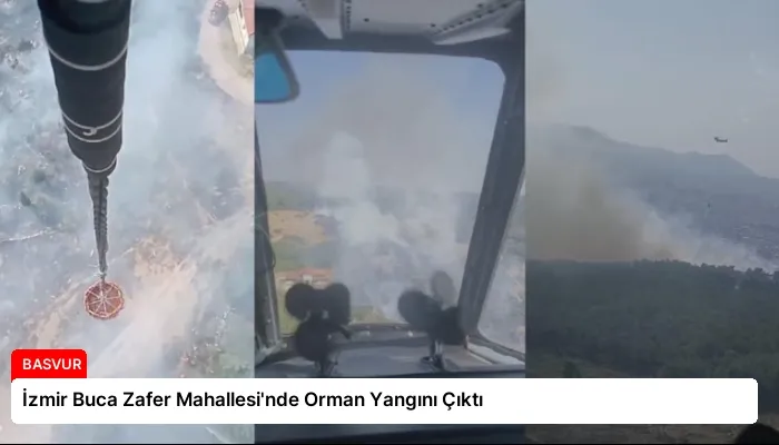 İzmir Buca Zafer Mahallesi’nde Orman Yangını Çıktı