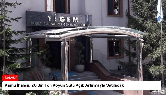 Kamu İhalesi: 20 Bin Ton Koyun Sütü Açık Artırmayla Satılacak