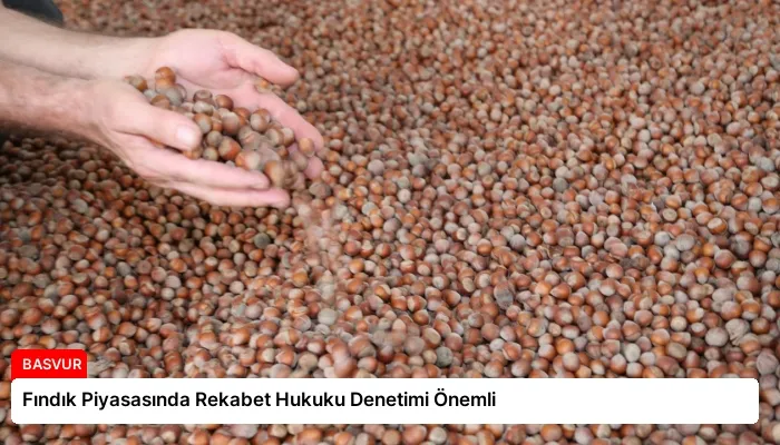 Fındık Piyasasında Rekabet Hukuku Denetimi Önemli