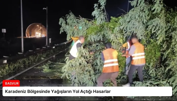 Karadeniz Bölgesinde Yağışların Yol Açtığı Hasarlar