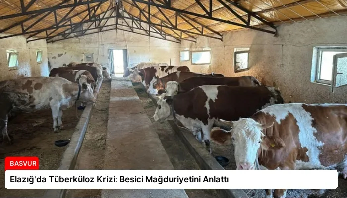 Elazığ’da Tüberküloz Krizi: Besici Mağduriyetini Anlattı