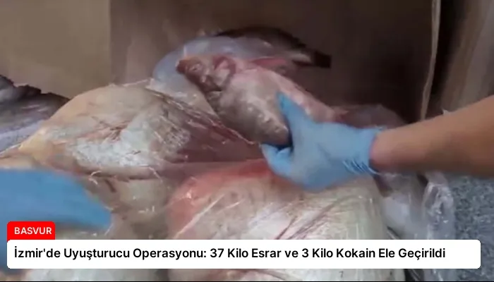 İzmir’de Uyuşturucu Operasyonu: 37 Kilo Esrar ve 3 Kilo Kokain Ele Geçirildi