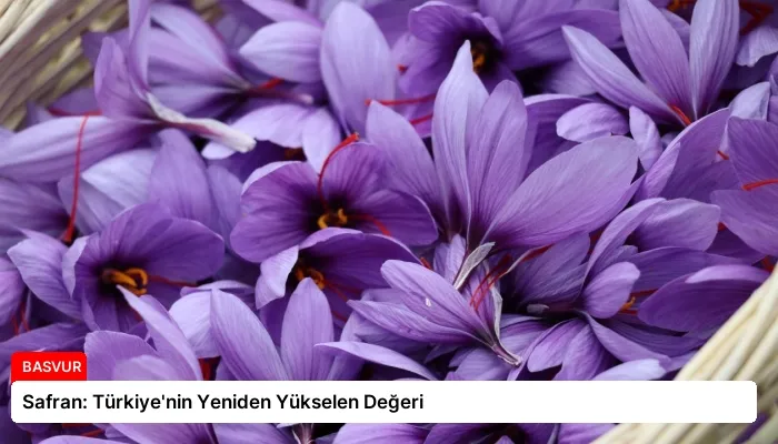 Safran: Türkiye’nin Yeniden Yükselen Değeri