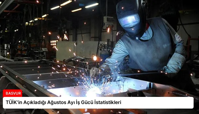 TÜİK’in Açıkladığı Ağustos Ayı İş Gücü İstatistikleri