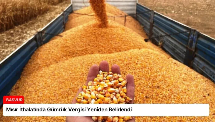 Mısır İthalatında Gümrük Vergisi Yeniden Belirlendi
