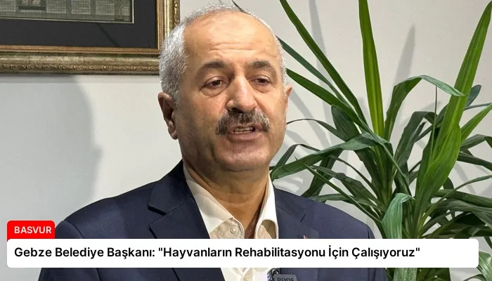 Gebze Belediye Başkanı: “Hayvanların Rehabilitasyonu İçin Çalışıyoruz”