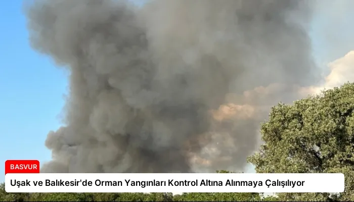 Uşak ve Balıkesir’de Orman Yangınları Kontrol Altına Alınmaya Çalışılıyor