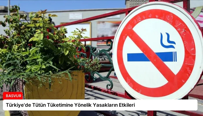 Türkiye’de Tütün Tüketimine Yönelik Yasakların Etkileri
