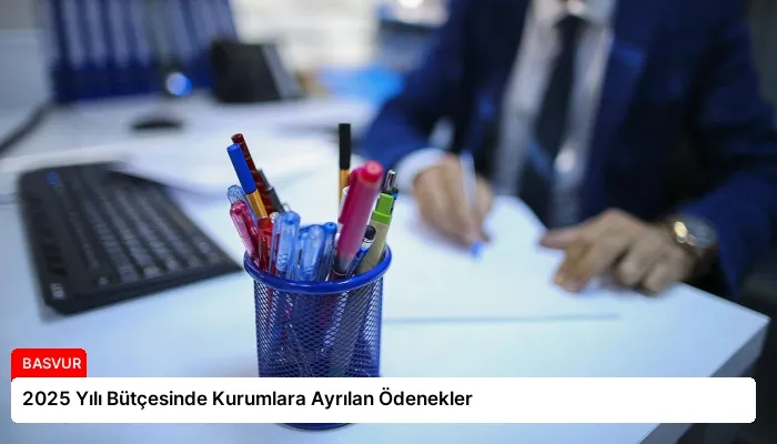2025 Yılı Bütçesinde Kurumlara Ayrılan Ödenekler