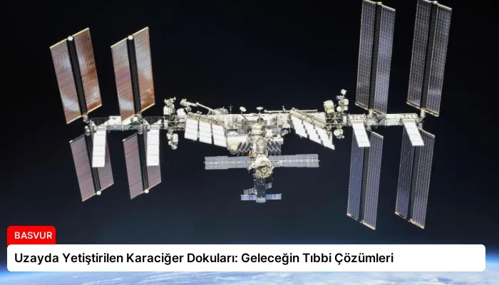 Uzayda Yetiştirilen Karaciğer Dokuları: Geleceğin Tıbbi Çözümleri