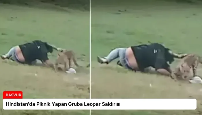 Hindistan’da Piknik Yapan Gruba Leopar Saldırısı