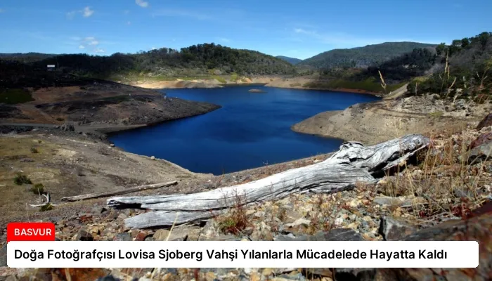 Doğa Fotoğrafçısı Lovisa Sjoberg Vahşi Yılanlarla Mücadelede Hayatta Kaldı