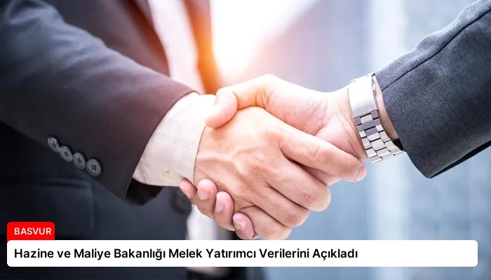 Hazine ve Maliye Bakanlığı Melek Yatırımcı Verilerini Açıkladı