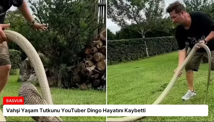 Vahşi Yaşam Tutkunu YouTuber Dingo Hayatını Kaybetti