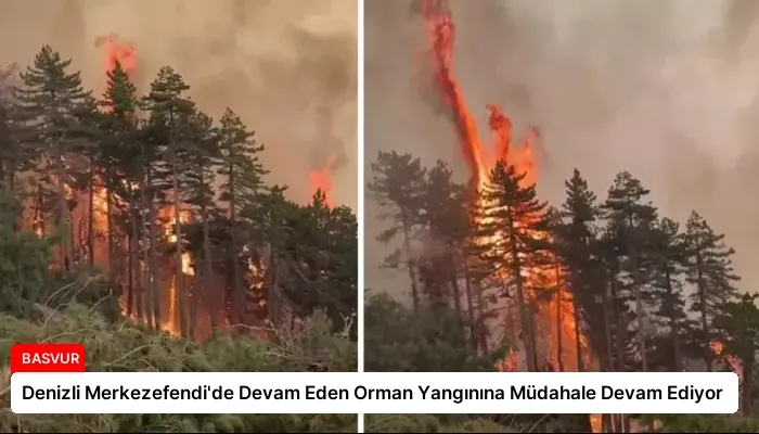 Denizli Merkezefendi’de Devam Eden Orman Yangınına Müdahale Devam Ediyor