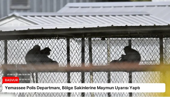 Yemassee Polis Departmanı, Bölge Sakinlerine Maymun Uyarısı Yaptı