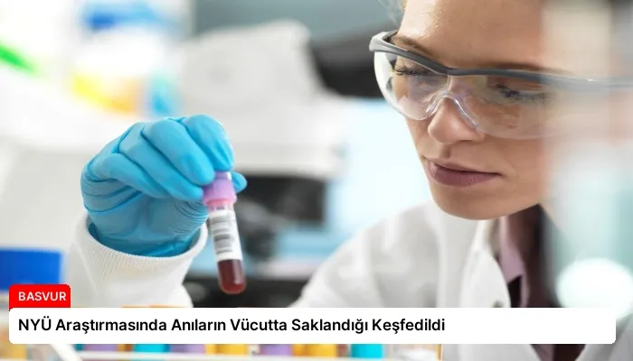 NYÜ Araştırmasında Anıların Vücutta Saklandığı Keşfedildi