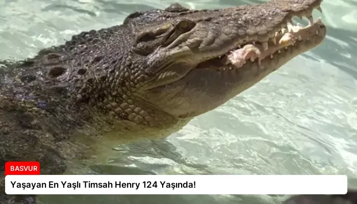Yaşayan En Yaşlı Timsah Henry 124 Yaşında!