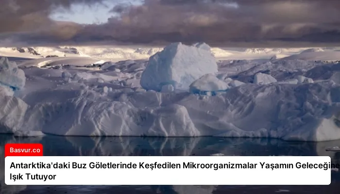 Antarktika’daki Buz Göletlerinde Keşfedilen Mikroorganizmalar Yaşamın Geleceğine Işık Tutuyor