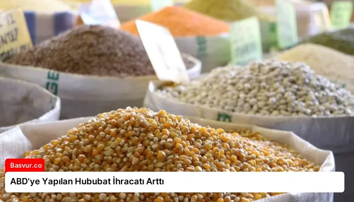 ABD’ye Yapılan Hububat İhracatı Arttı