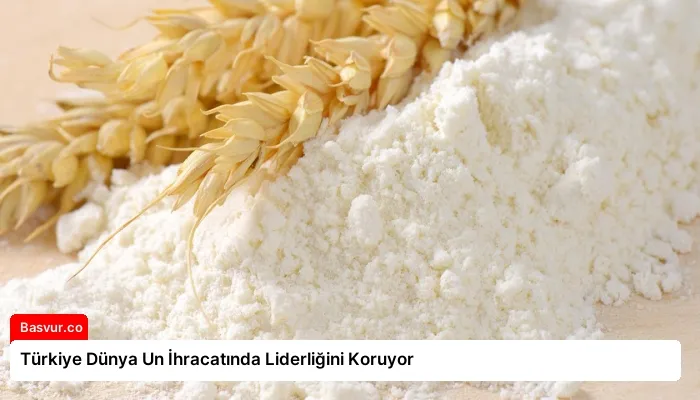 Türkiye Dünya Un İhracatında Liderliğini Koruyor