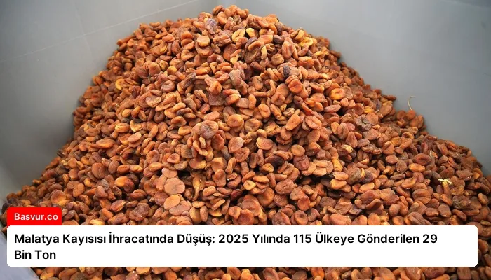 Malatya Kayısısı İhracatında Düşüş: 2025 Yılında 115 Ülkeye Gönderilen 29 Bin Ton