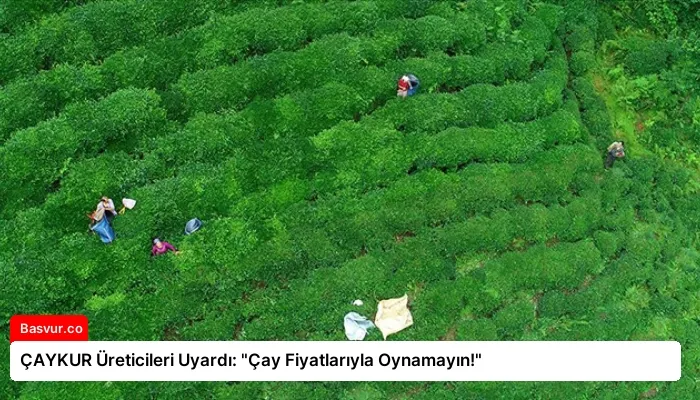 ÇAYKUR Üreticileri Uyardı: “Çay Fiyatlarıyla Oynamayın!”