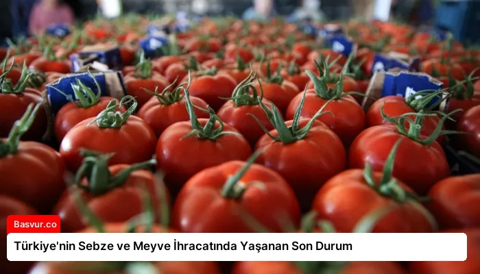 Türkiye’nin Sebze ve Meyve İhracatında Yaşanan Son Durum