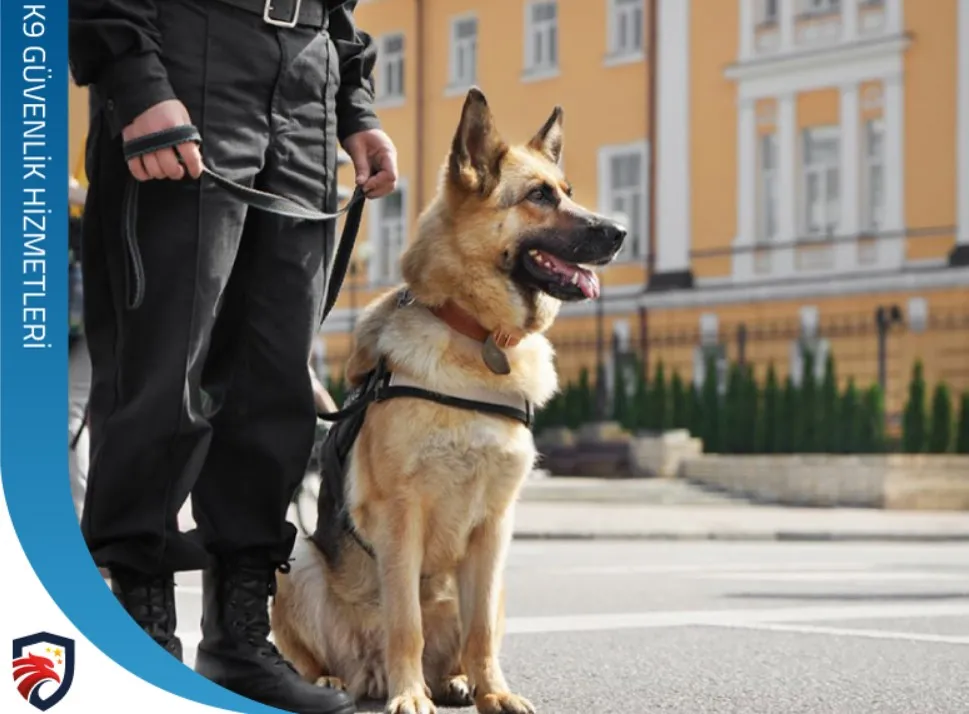 Güvenliğinizi Teslim Edeceğiniz Özel Güvenlik Şirketi Hangisi Olmalı?