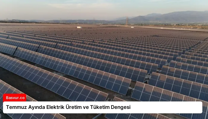 Temmuz Ayında Elektrik Üretim ve Tüketim Dengesi