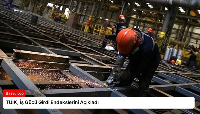 TÜİK, İş Gücü Girdi Endekslerini Açıkladı