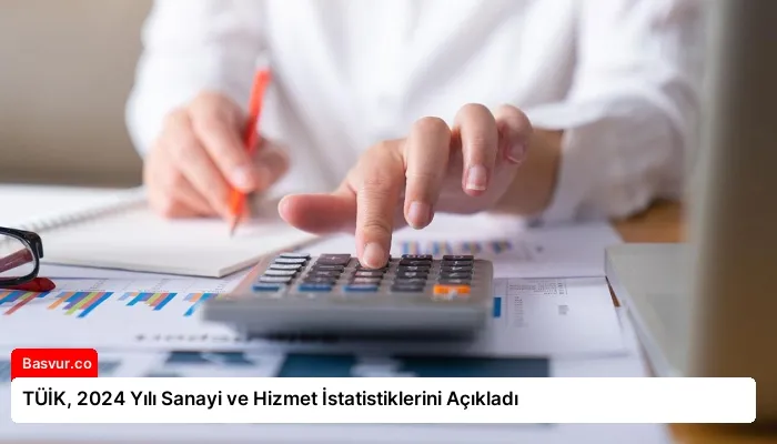 TÜİK, 2024 Yılı Sanayi ve Hizmet İstatistiklerini Açıkladı