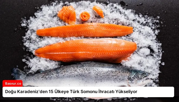 Doğu Karadeniz’den 15 Ülkeye Türk Somonu İhracatı Yükseliyor