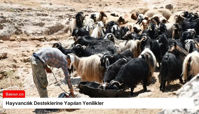 Hayvancılık Desteklerine Yapılan Yenilikler