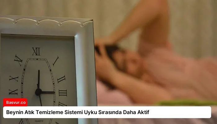 Beynin Atık Temizleme Sistemi Uyku Sırasında Daha Aktif
