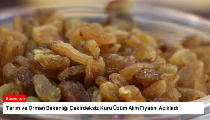 Tarım ve Orman Bakanlığı Çekirdeksiz Kuru Üzüm Alım Fiyatını Açıkladı