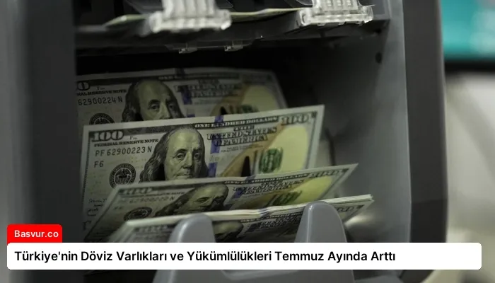 Türkiye’nin Döviz Varlıkları ve Yükümlülükleri Temmuz Ayında Arttı