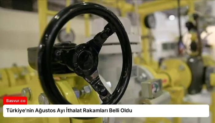 Türkiye’nin Ağustos Ayı İthalat Rakamları Belli Oldu