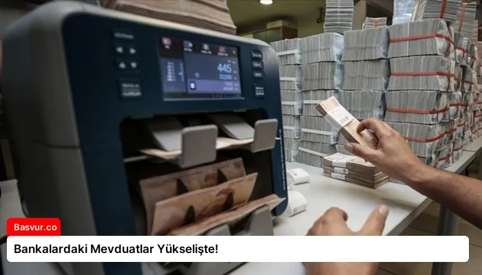 Bankalardaki Mevduatlar Yükselişte!