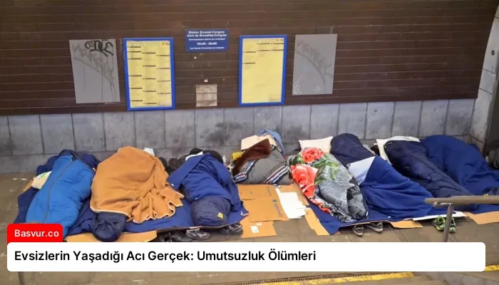 Evsizlerin Yaşadığı Acı Gerçek: Umutsuzluk Ölümleri