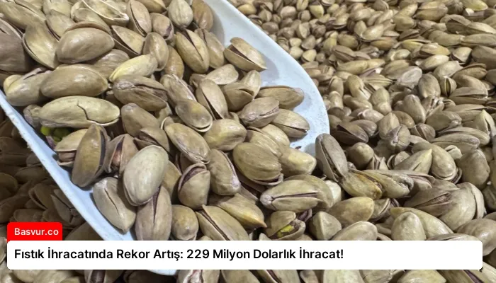 Fıstık İhracatında Rekor Artış: 229 Milyon Dolarlık İhracat!