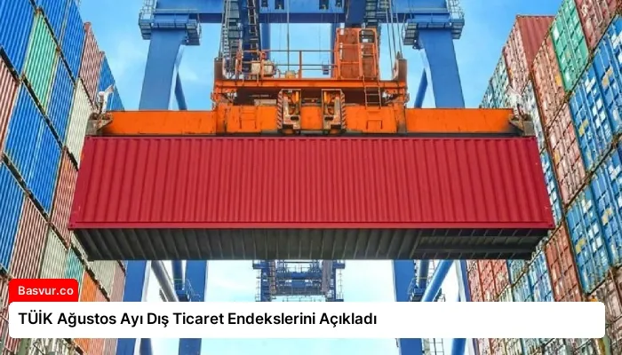 TÜİK Ağustos Ayı Dış Ticaret Endekslerini Açıkladı