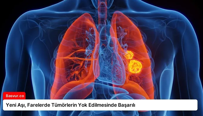 Yeni Aşı, Farelerde Tümörlerin Yok Edilmesinde Başarılı