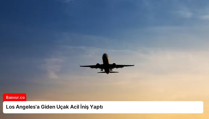 Los Angeles’a Giden Uçak Acil İniş Yaptı