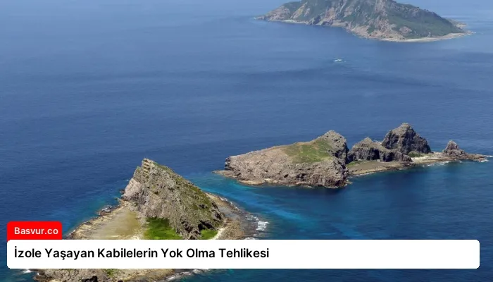 İzole Yaşayan Kabilelerin Yok Olma Tehlikesi
